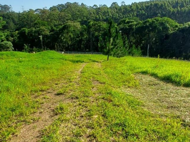 Sítio e chácara venda em Região Geográfica Imediata de Ivaiporã, Lidianópolis
