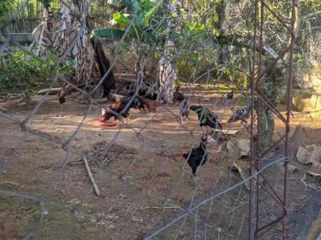 Sítio e chácara venda em Região Imediata de Sorocaba, Região Metropolitana de Sorocaba
