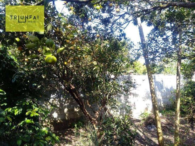 Sítio e chácara venda em Região Imediata de São Paulo, Região Metropolitana de São Paulo