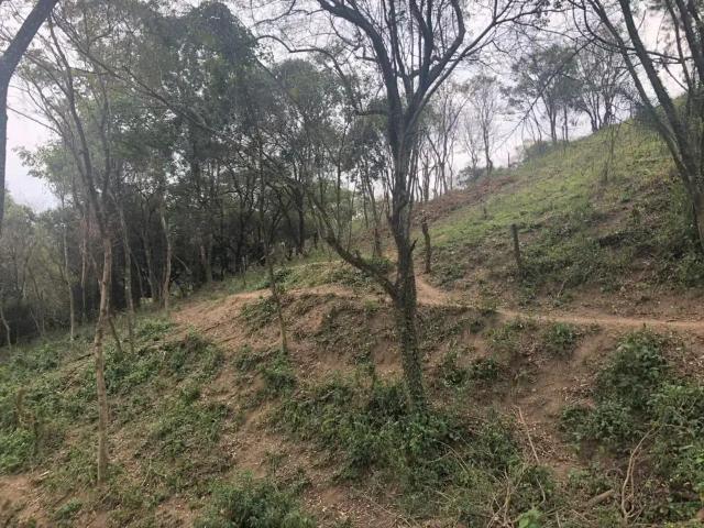 Sítio e chácara venda em Região Imediata de Sorocaba, Região Metropolitana de Sorocaba