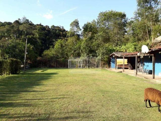 Sítio e chácara venda em Jardim Fernão Dias, Mairiporã
