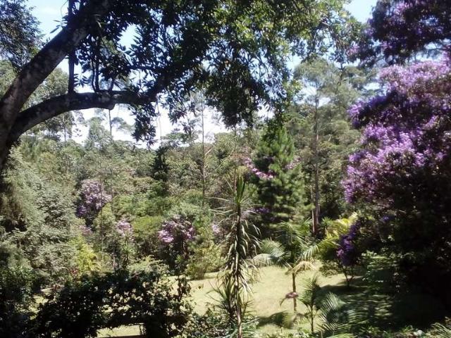 Sítio e chácara venda em Região Imediata de São Paulo, Região Metropolitana de São Paulo
