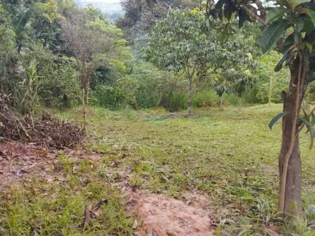 Sítio e chácara venda em Região Imediata de São Paulo, Região Metropolitana de São Paulo