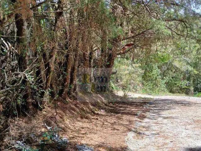 Sítio e chácara venda em Região Imediata de São Paulo, Região Metropolitana de São Paulo