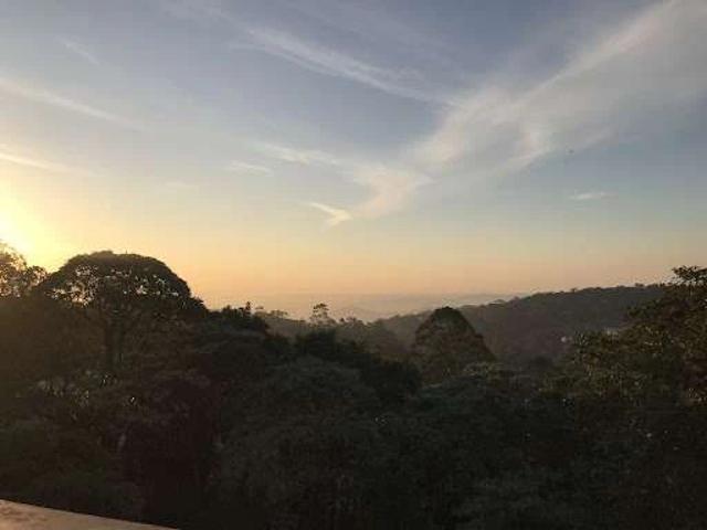 Sítio e chácara venda em Parque Friburgo, Mairiporã