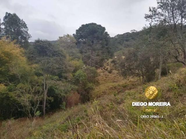 Sítio e chácara venda em Estância Santa Maria, Mairiporã