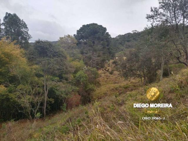 Sítio e chácara venda em Região Imediata de São Paulo, Região Metropolitana de São Paulo