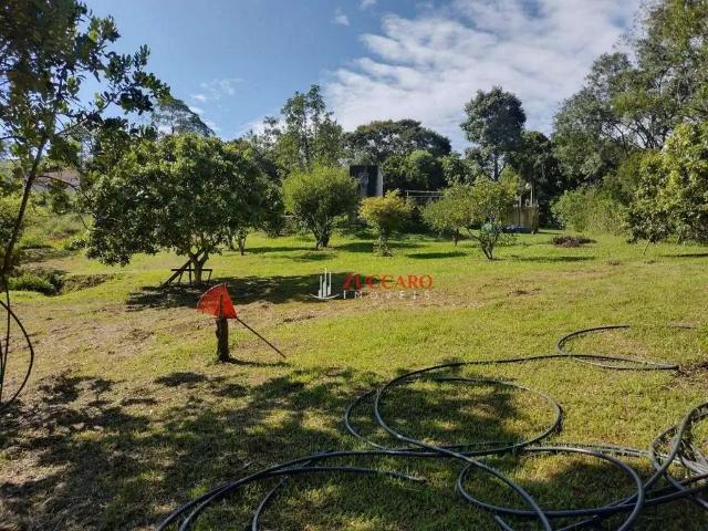 Sítio e chácara venda em Jardim das Flores, Mairiporã