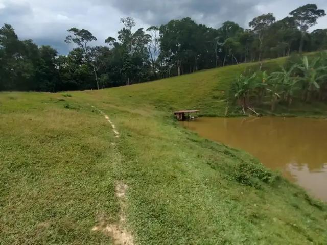 Sítio e chácara venda em Região Geográfica Imediata de Brusque, Major Gercino