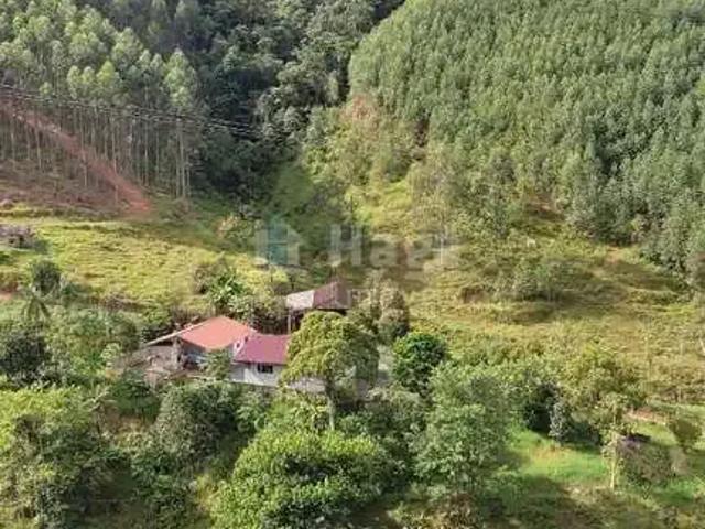 Sítio e chácara venda em Região Geográfica Imediata de Brusque, Major Gercino