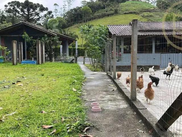 Sítio e chácara venda em Região Geográfica Imediata de Brusque, Major Gercino