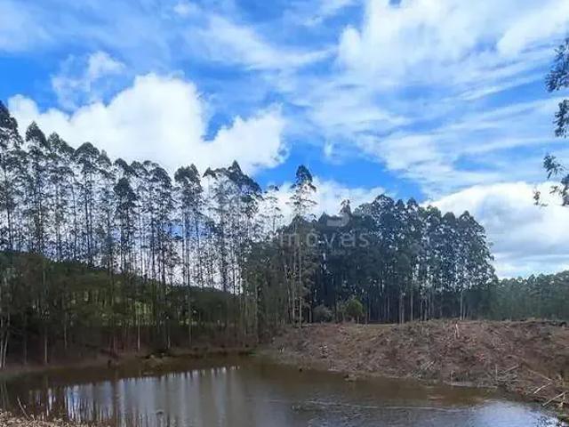 Sítio e chácara venda em Região Geográfica Imediata de Florianópolis, Desterro