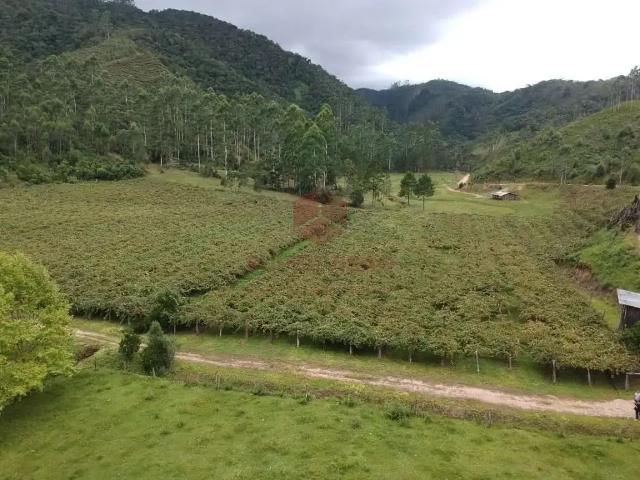 Sítio e chácara venda em Região Geográfica Imediata de Brusque, Major Gercino