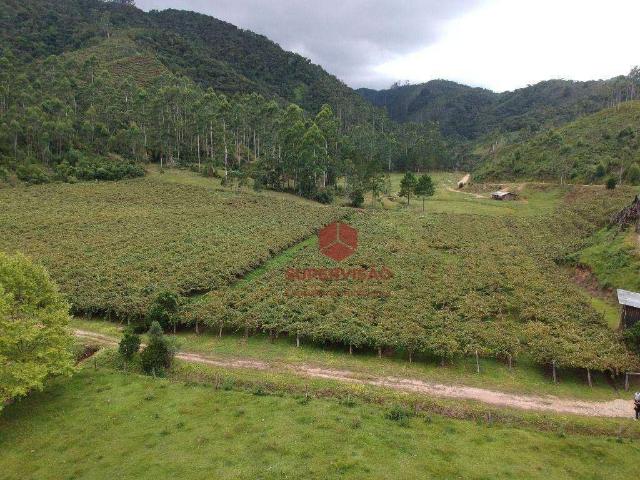 Sitio venda em Major Gercino, Pinheiral