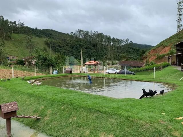 Sítio e chácara venda em Região Geográfica Imediata de Brusque, Major Gercino