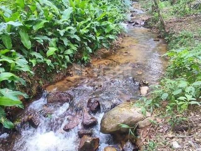 Sitio venda em Major Gercino, Morro do Descanso