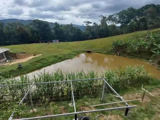 Sítio e chácara venda em Região Geográfica Imediata de Brusque, Major Gercino