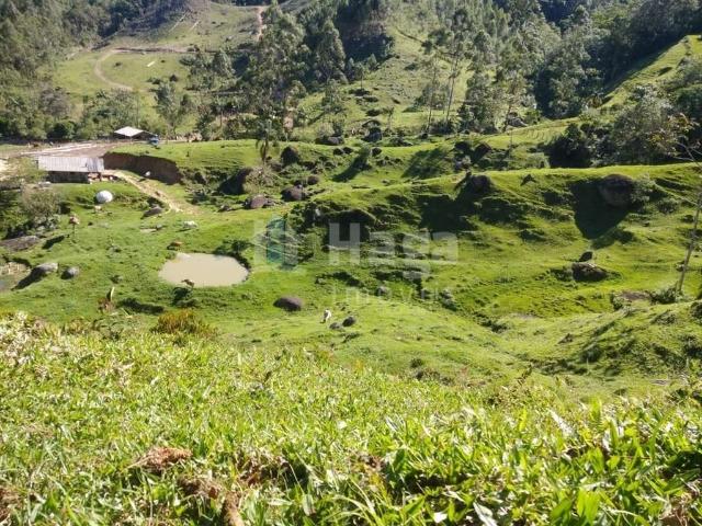 Sítio e chácara venda em Região Geográfica Imediata de Brusque, Major Gercino