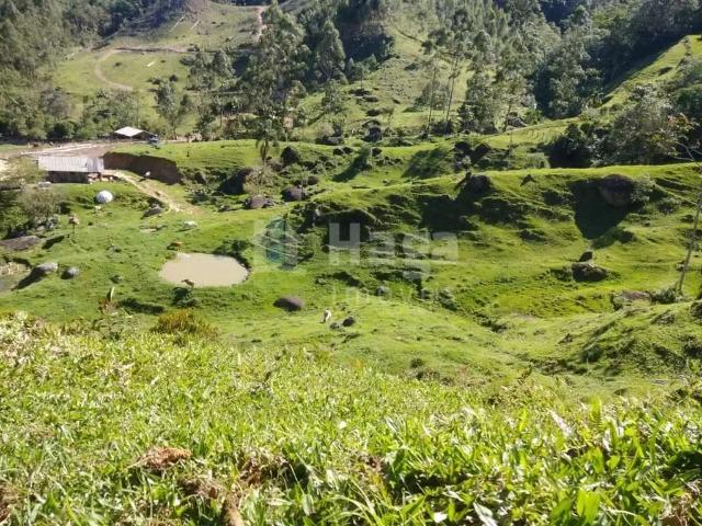 Sítio e chácara venda em Região Geográfica Imediata de Brusque, Major Gercino