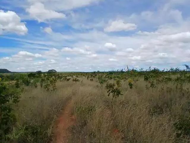 Sítio e chácara venda em Região Geográfica Imediata de Posse-Campos Belos, Mambaí