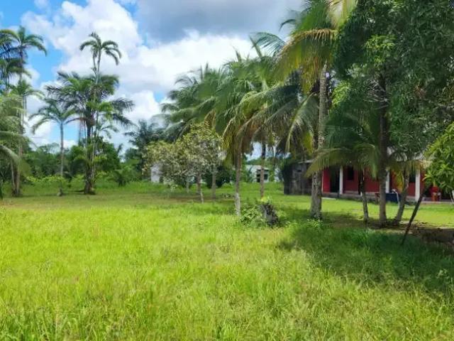Sítio e chácara venda em Região Geográfica Imediata de Manaus, Itamarati