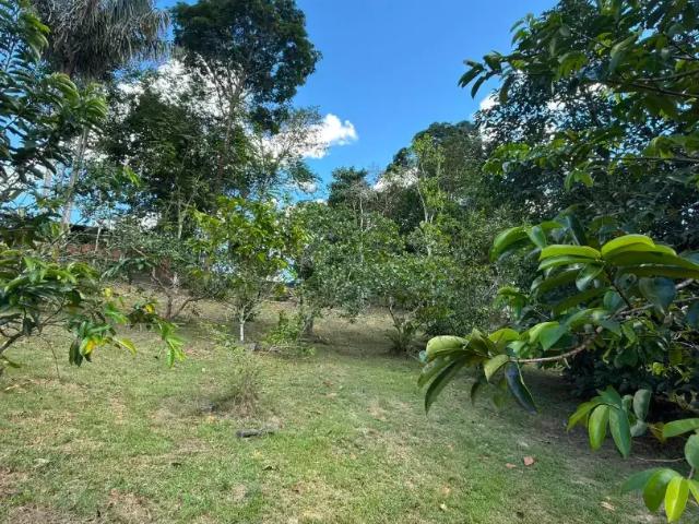 Sítio e chácara venda em Região Geográfica Imediata de Manaus, Itamarati
