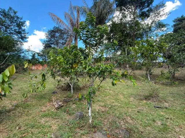 Sítio e chácara venda em Região Geográfica Imediata de Manaus, Itamarati