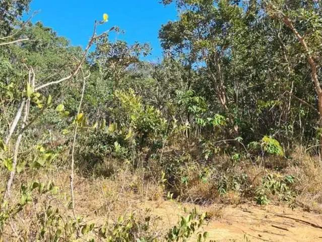 Sítio e chácara venda em Região Geográfica Imediata de Manaus, Itamarati