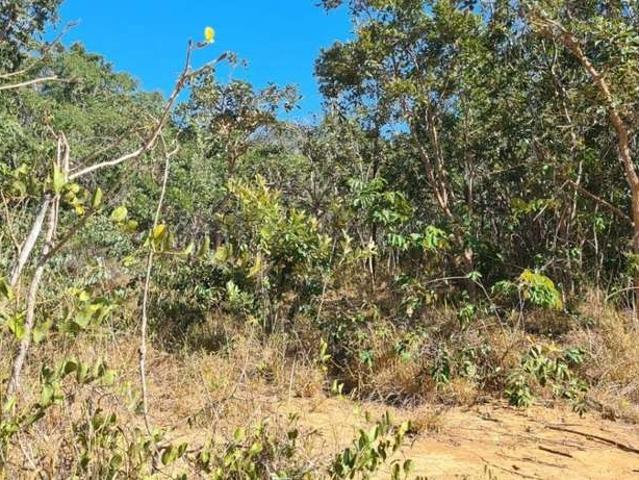 Sítio e chácara venda em Região Geográfica Imediata de Manaus, Itamarati