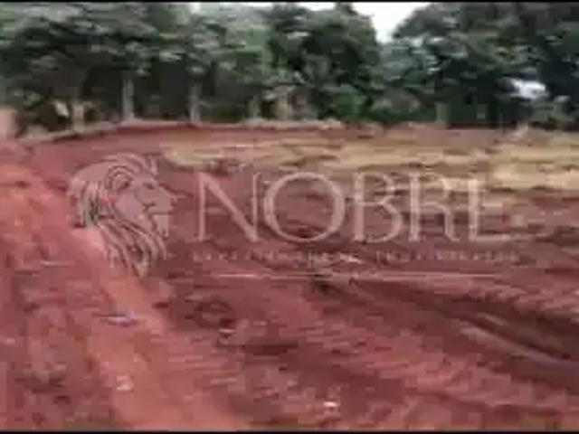 Sítio e chácara venda em Região Geográfica Imediata de Maringá, Mandaguaçu