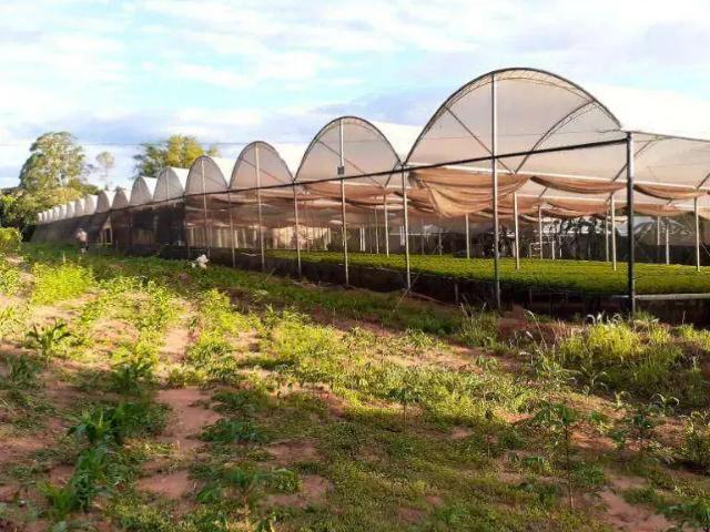 Sítio e chácara venda em Guadiana, Mandaguaçu