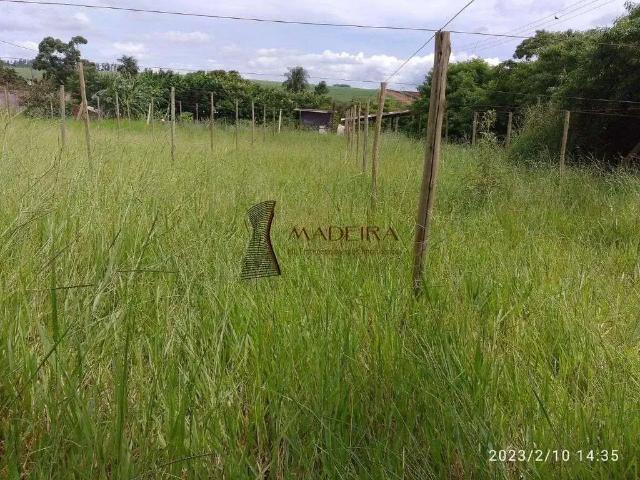 Sítio e chácara venda em Região Geográfica Imediata de Maringá, Mandaguaçu