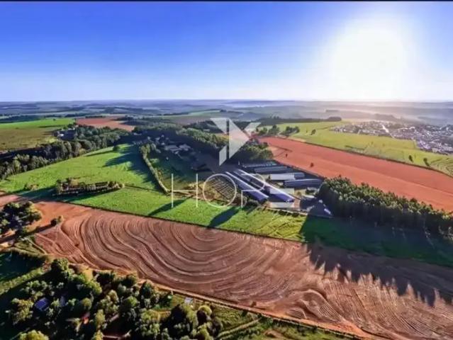 Sítio e chácara venda em Região Geográfica Imediata de Maringá, Mandaguari