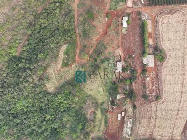 Sítio e chácara venda em Região Geográfica Imediata de Maringá, Maringá