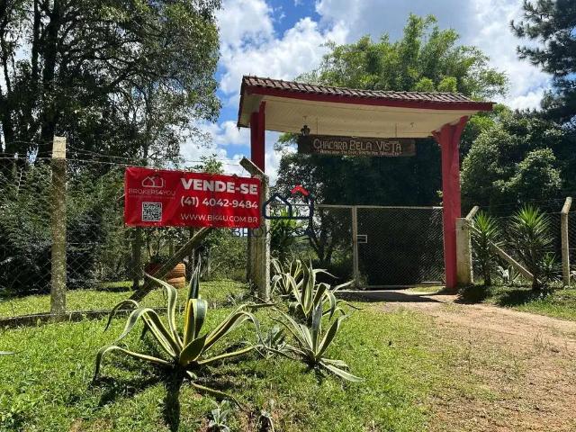 Sítio e chácara venda em Região Geográfica Imediata de Curitiba, Região Metropolitana de Curitiba