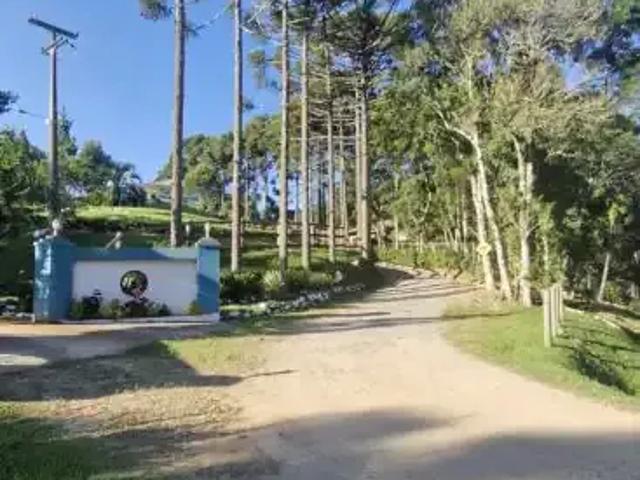 Sítio e chácara venda em Região Geográfica Imediata de Curitiba, Região Metropolitana de Curitiba