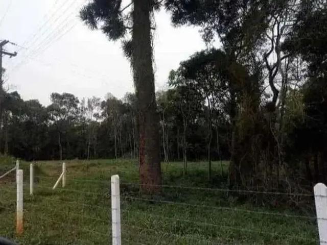 Sítio e chácara venda em Região Geográfica Imediata de Curitiba, Região Metropolitana de Curitiba