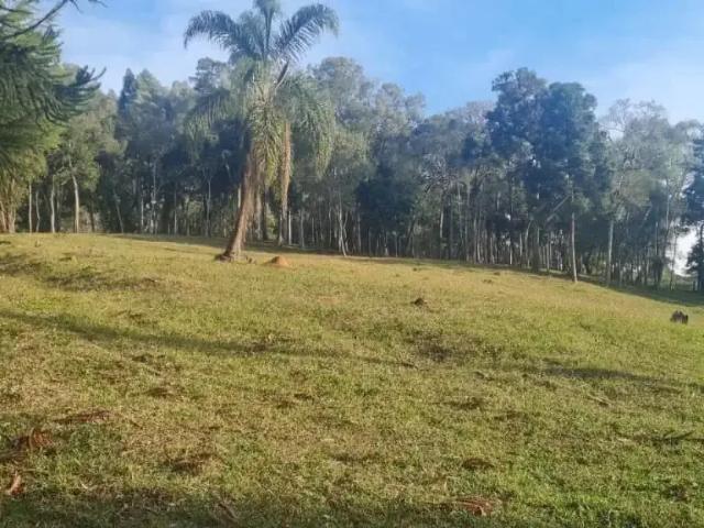 Sítio e chácara venda em Região Geográfica Imediata de Curitiba, Região Metropolitana de Curitiba