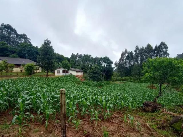 Sítio e chácara venda em Região Geográfica Imediata de Curitiba, Região Metropolitana de Curitiba