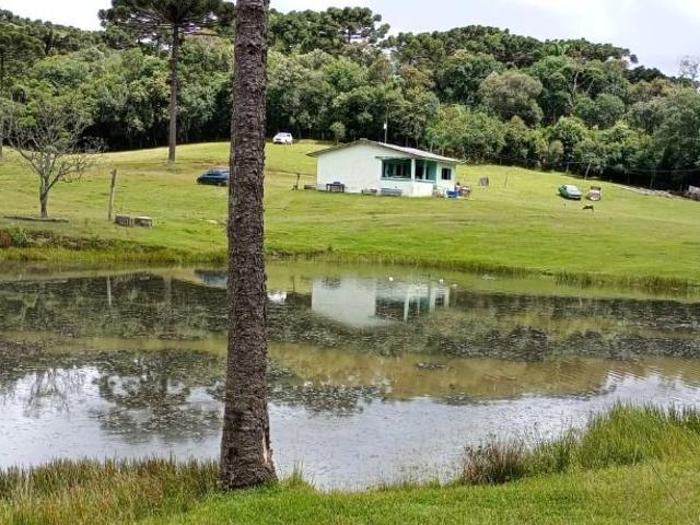 Sítio e chácara venda em Região Geográfica Imediata de Curitiba, Região Metropolitana de Curitiba
