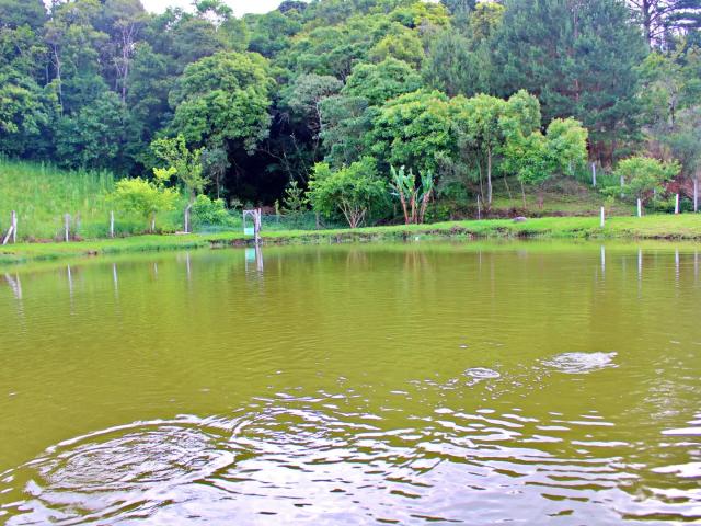 Sítio e chácara venda em Região Geográfica Imediata de Curitiba, Região Metropolitana de Curitiba