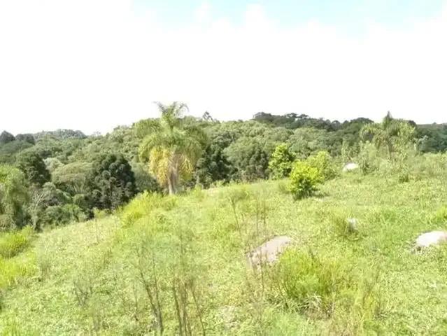 Sítio e chácara venda em Região Geográfica Imediata de Curitiba, Região Metropolitana de Curitiba