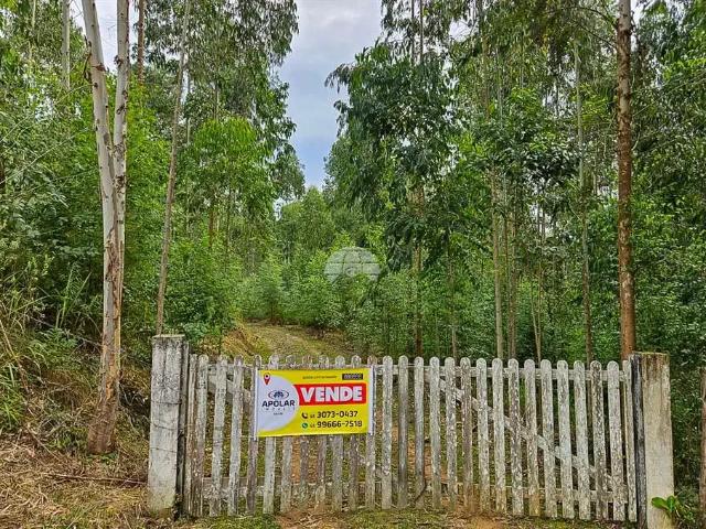 Sítio e chácara venda em Região Geográfica Imediata de Curitiba, Região Metropolitana de Curitiba