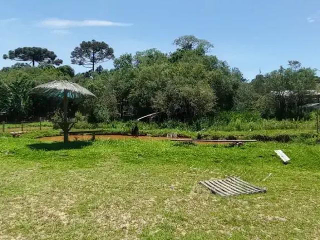 Sítio e chácara venda em Região Geográfica Imediata de Curitiba, Região Metropolitana de Curitiba