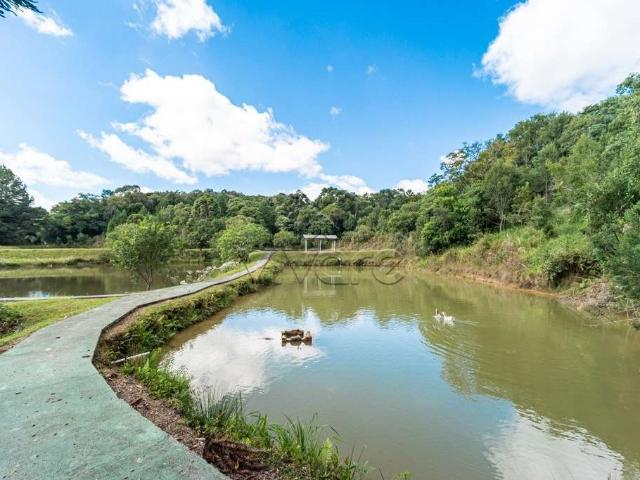 Sítio e chácara venda em Região Geográfica Imediata de Curitiba, Região Metropolitana de Curitiba
