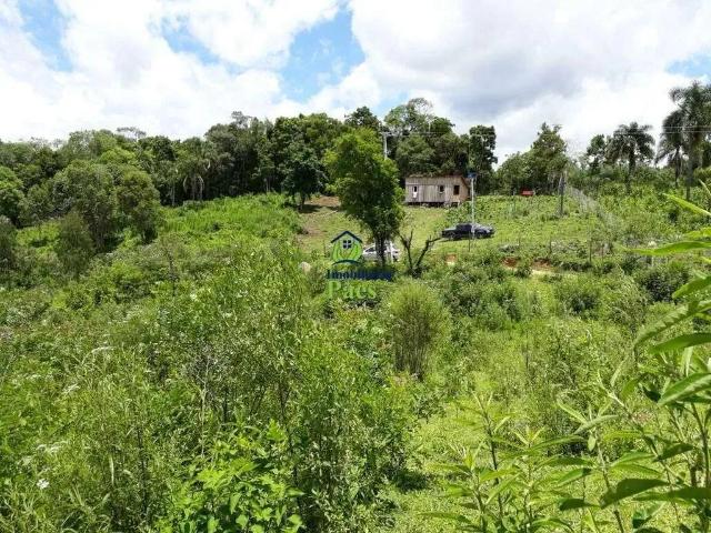 Sítio e chácara venda em Região Geográfica Imediata de Curitiba, Região Metropolitana de Curitiba