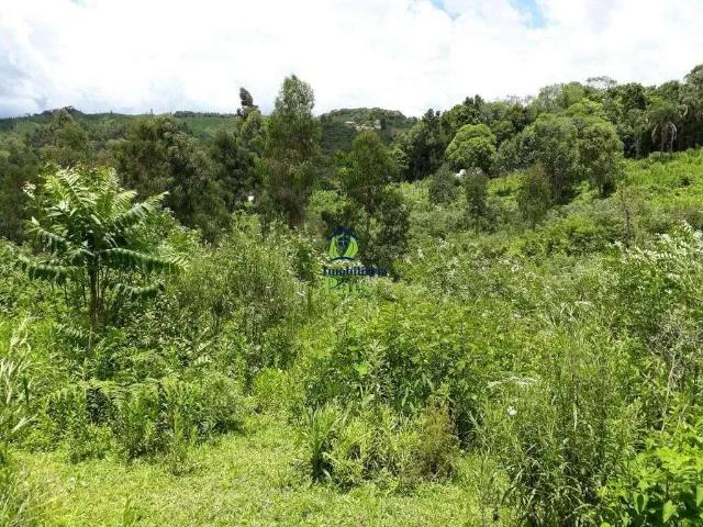 Sítio e chácara venda em Região Geográfica Imediata de Curitiba, Região Metropolitana de Curitiba
