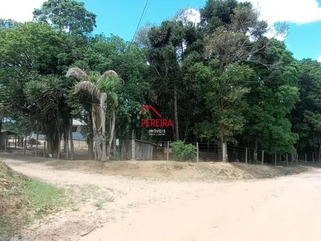 Sítio e chácara venda em Vila Brasília, Mandirituba
