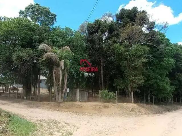 Sítio e chácara venda em Região Geográfica Imediata de Curitiba, Região Metropolitana de Curitiba