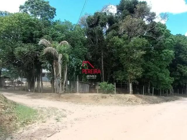 Sítio e chácara venda em Região Geográfica Imediata de Curitiba, Região Metropolitana de Curitiba